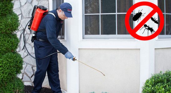 Tufanbeyli Fare İlaçlama böcek ilaçlama ve haşere kontrolü — ilaclama-tr.com